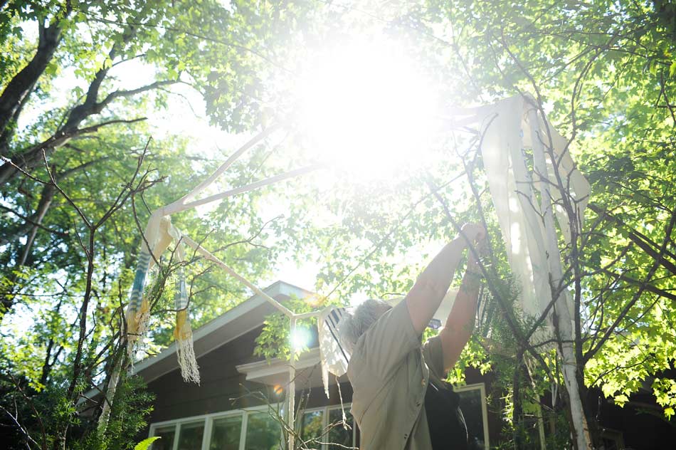 newalbanylinks-sanders10