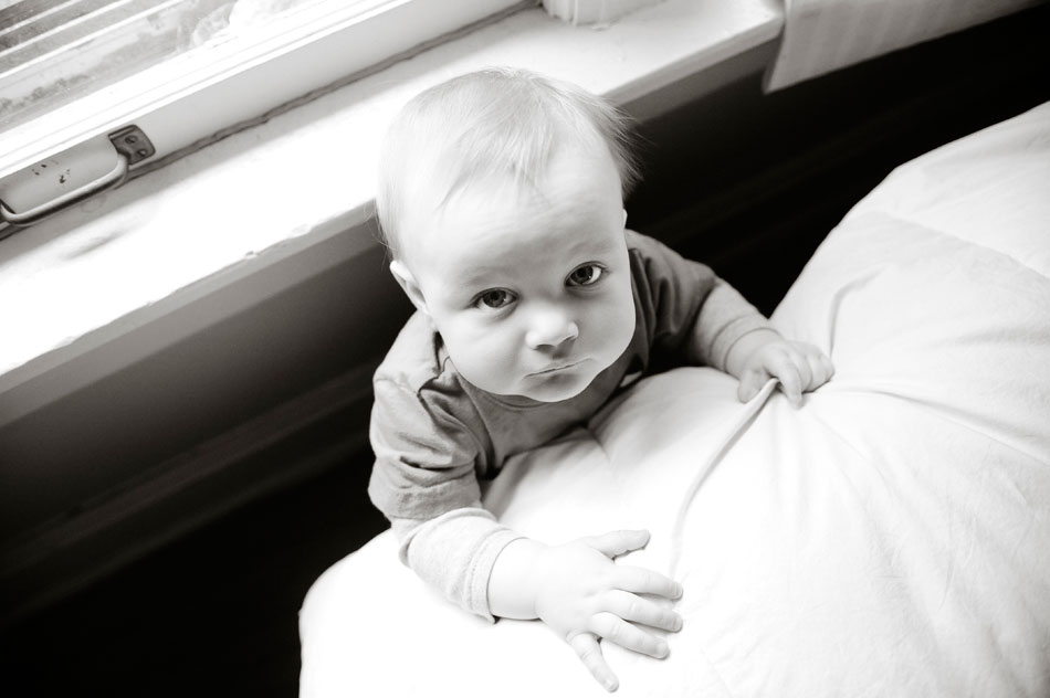 family pictures in columbus