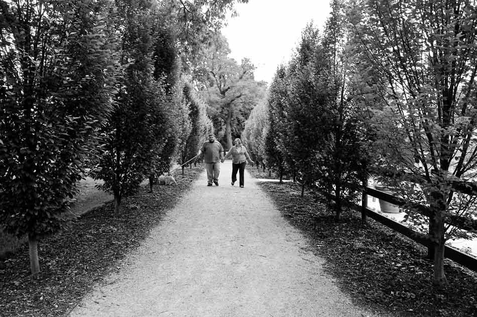 Franklin Park Conservatory engagement session Engagement session at Franklin Park Conservatory