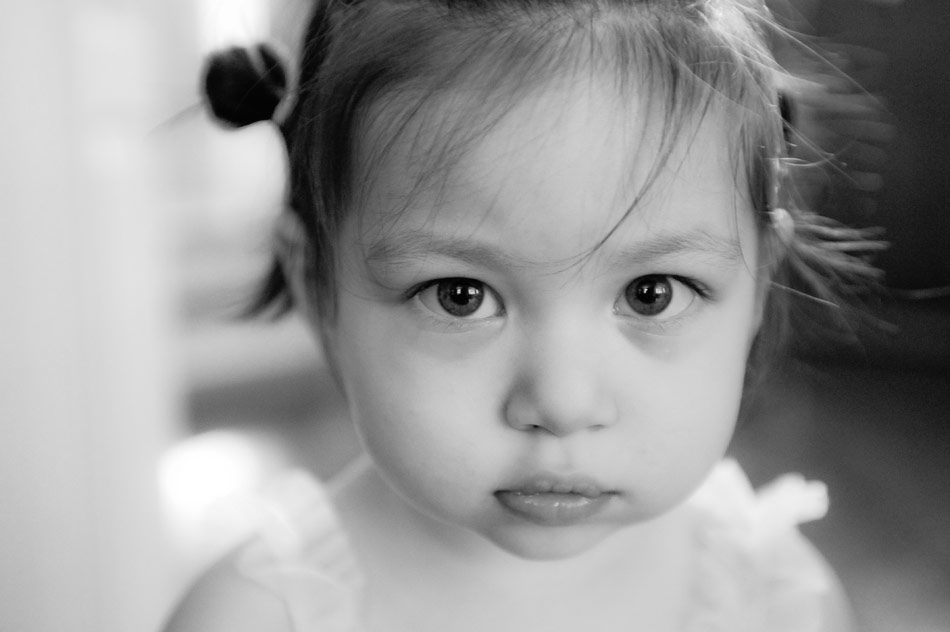 family portrait session in columbus ohio family photos columbus ohio