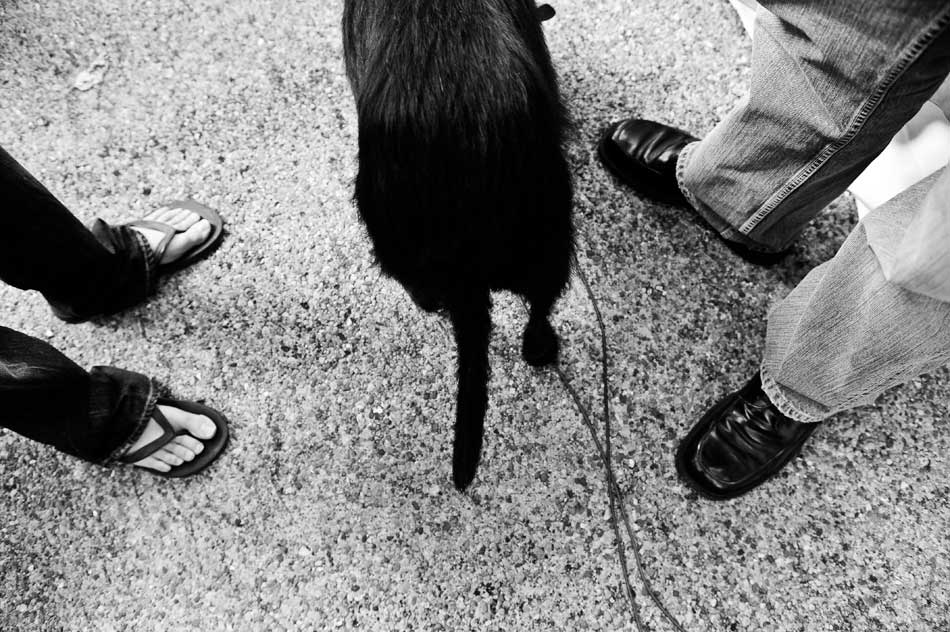 westinjewishwedding-01