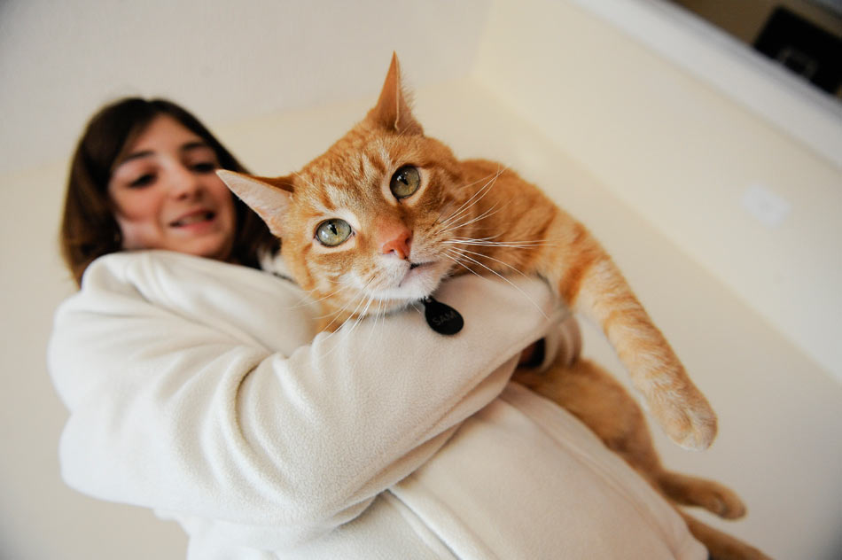 genderrevealparty-01