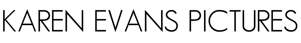Karen Evans Pictures Blog logo